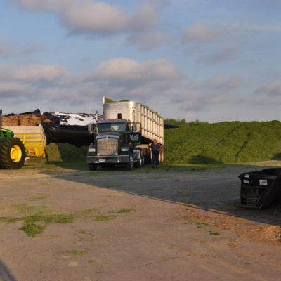 What is haylage? Harvest 2015