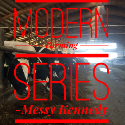 Modern Farming Series Part 4: Learning about Lactation