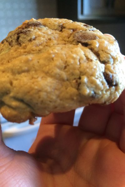 chocolate chip cookie