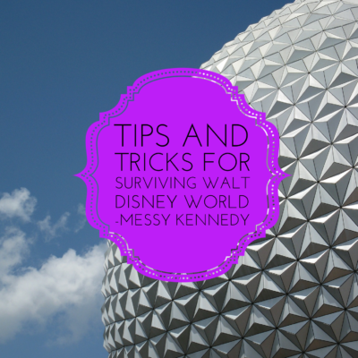 Tips and Tricks for Surviving Walt Disney World